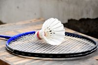 TG02 Wernborn, Sportangebot Badminton